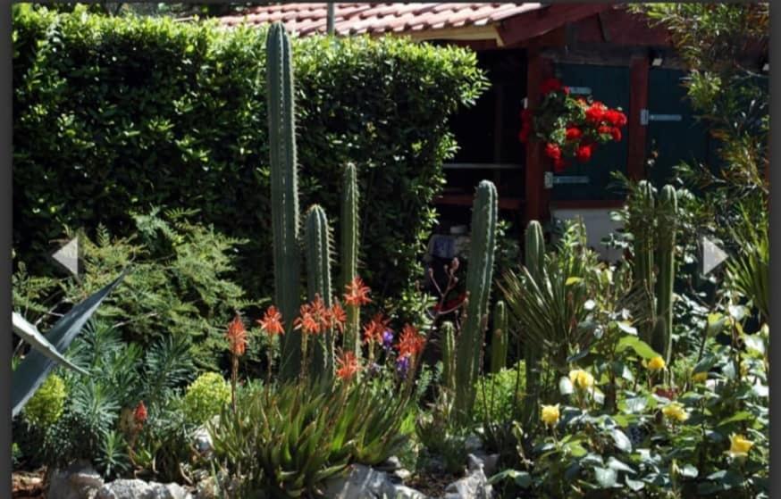 Cactus House Gaspar Задар Экстерьер фото