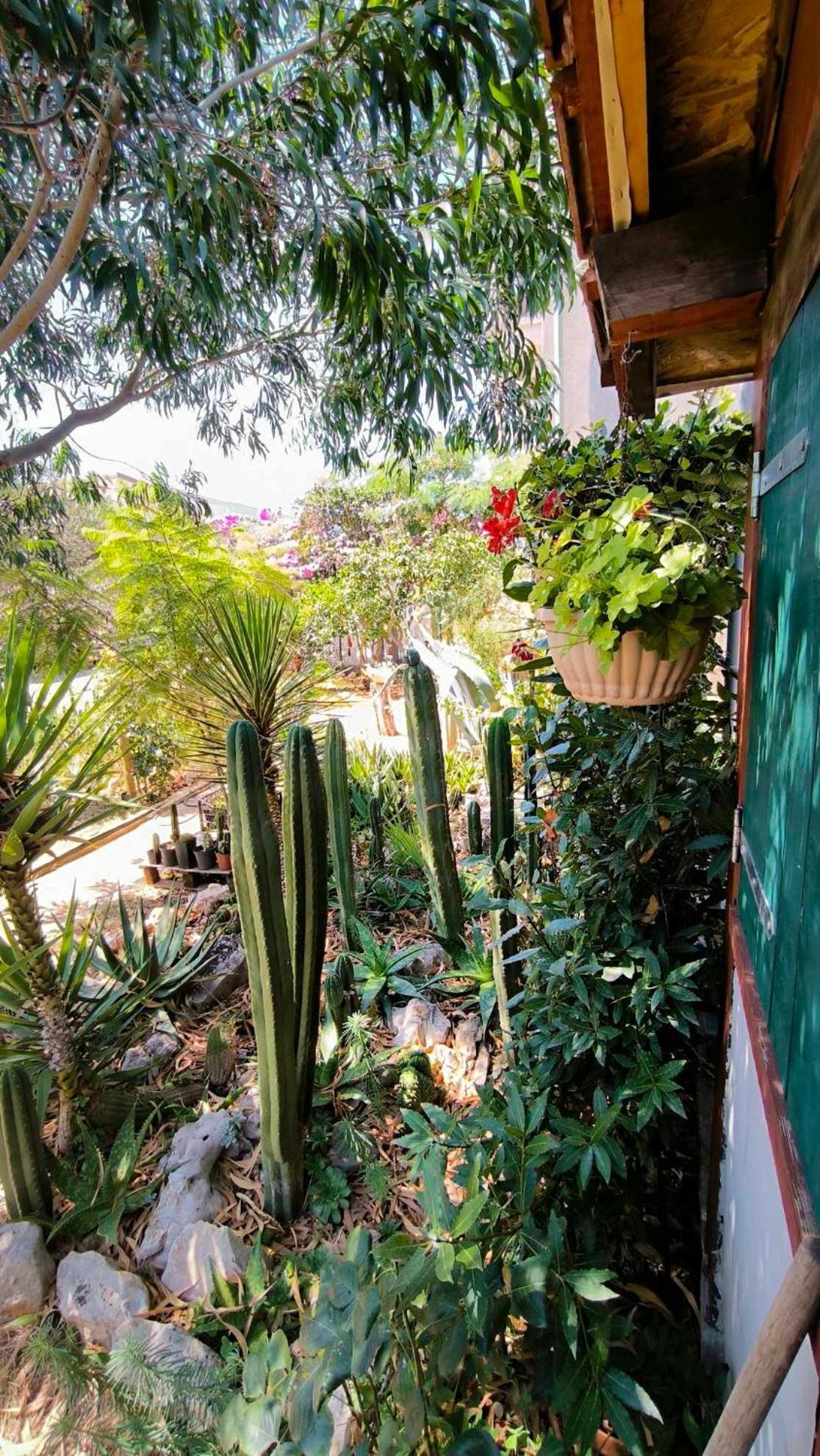 Cactus House Gaspar Задар Экстерьер фото